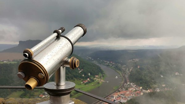 Quelles sont les meilleures périodes pour observer les oiseaux migrateurs dans le delta du Danube ?
